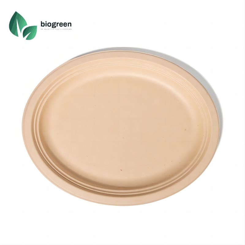 12“ Sugarcane Oval Plates China Eco Friendly Packaging Supplier