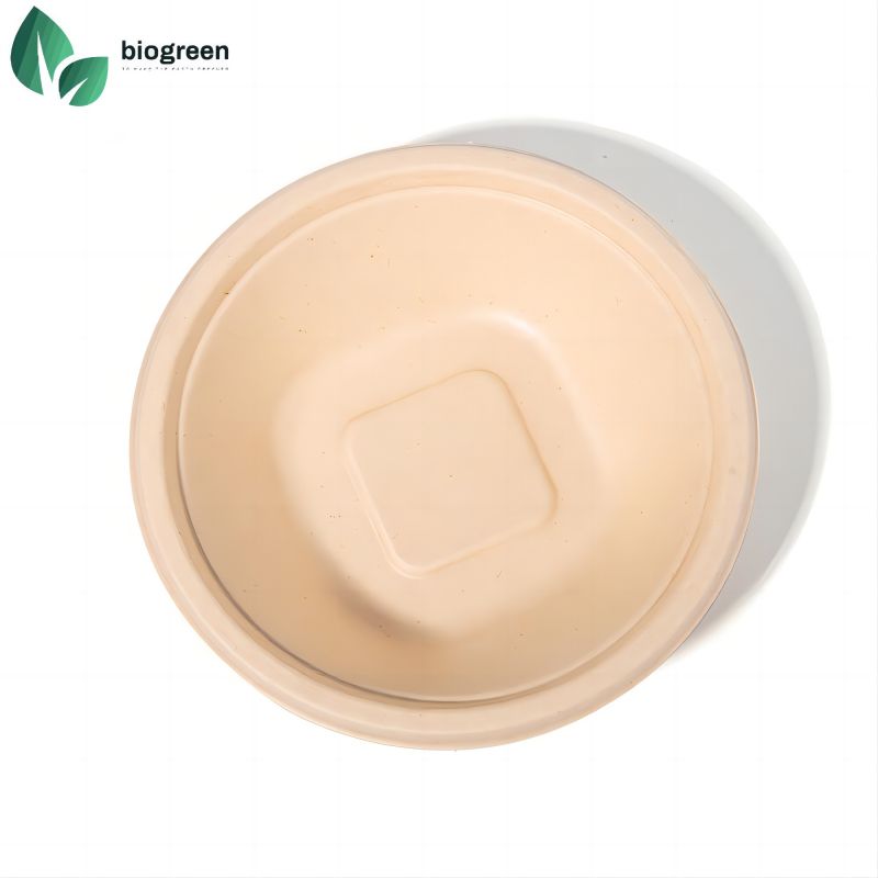 China Molded Pulp Packaging Supplier 16oz Bagasse Soup Bowl